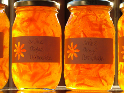 Seville orange marmalade recipe