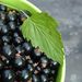 Blackcurrants in lime bowl