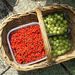 Redcurrant and gooseberries