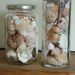 Seashells in jars