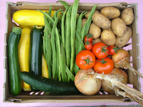 Our own veg box (500)