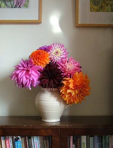 Dahlias on bookshelf (500)