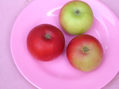 Discovery apples on pink plate