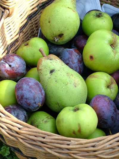 Our first orchard fruit