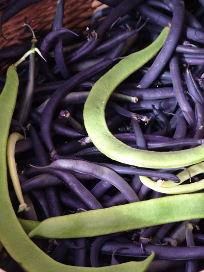 Purple French beans and Runners