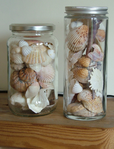 Seashells in jars